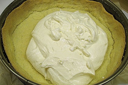 Topfenschnitten mit Vanillepuddingguss 6