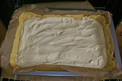 Topfenschnitten mit Vanillepuddingguss 13