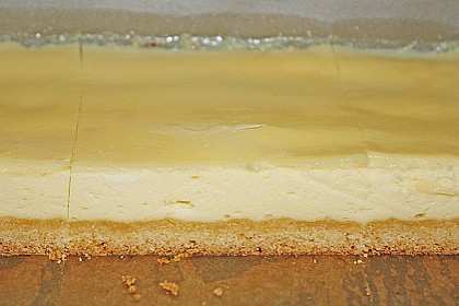 Topfenschnitten mit Vanillepuddingguss 17