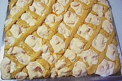 Hefe - Quark - Kuchen 1