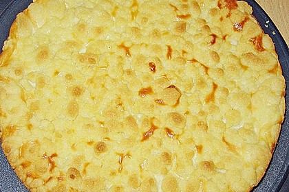 Tarte aux apricots 9