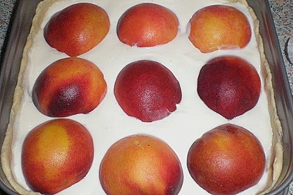 Tarte aux apricots 11