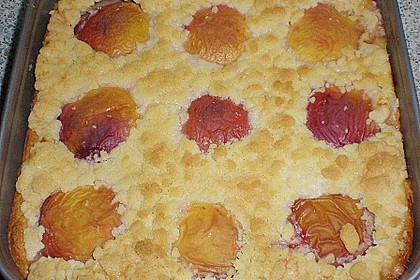 Tarte aux apricots 12
