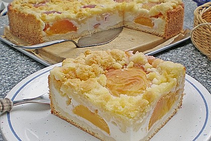 Tarte aux apricots 13