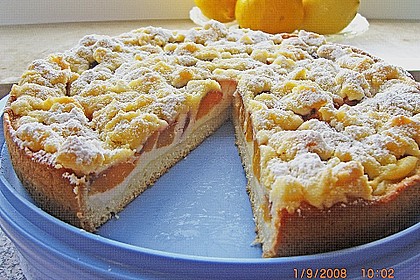 Tarte aux apricots 14
