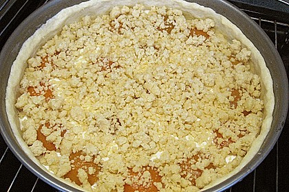 Tarte aux apricots 16