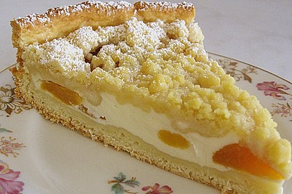 Tarte aux apricots 17