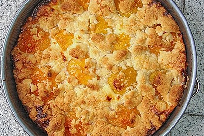 Tarte aux apricots 21