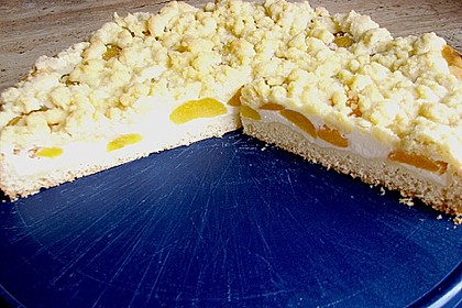 Tarte aux apricots 23
