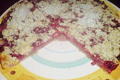 Tarte aux apricots 24