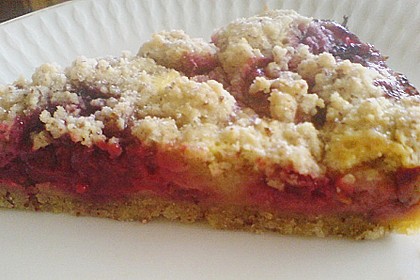 Tarte aux apricots 25