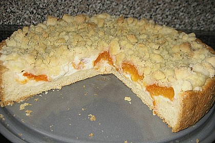 Tarte aux apricots 29