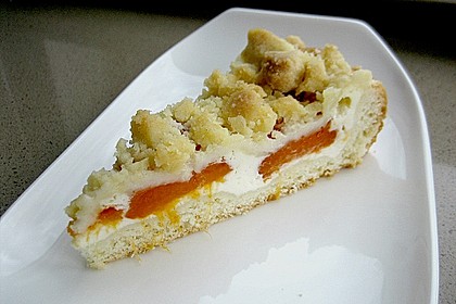 Tarte aux apricots 31