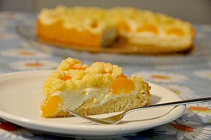 Tarte aux apricots 33