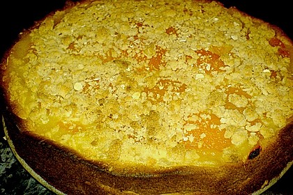 Tarte aux apricots 37