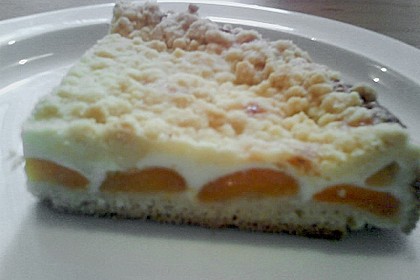 Tarte aux apricots 43