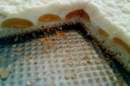 Tarte aux apricots 44