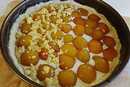 Tarte aux apricots 45