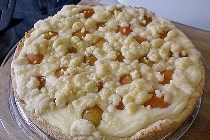 Tarte aux apricots 48
