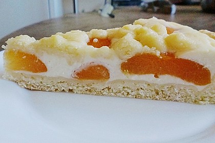 Tarte aux apricots 49