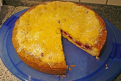 Tarte aux apricots 51