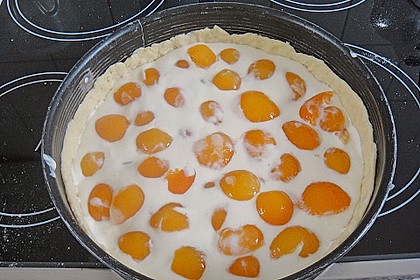 Tarte aux apricots 53