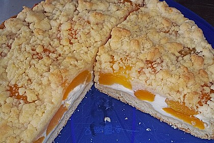 Tarte aux apricots 55