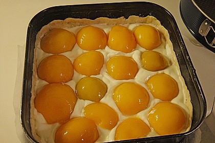 Tarte aux apricots 56