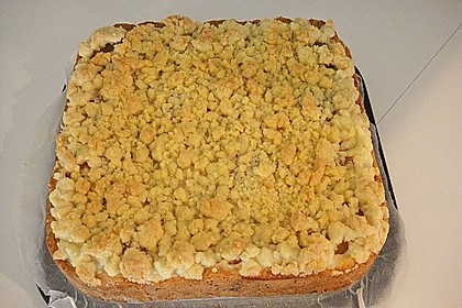 Tarte aux apricots 57