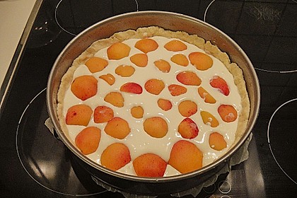 Tarte aux apricots 60