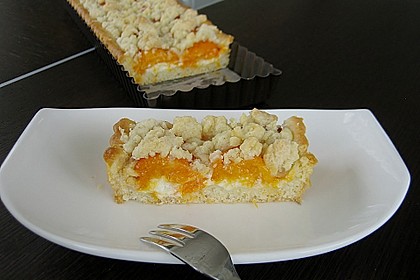 Tarte aux apricots 63