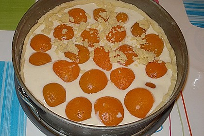 Tarte aux apricots 64