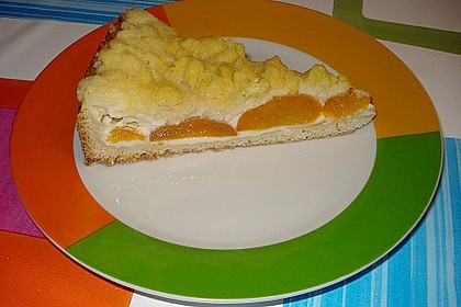 Tarte aux apricots 66