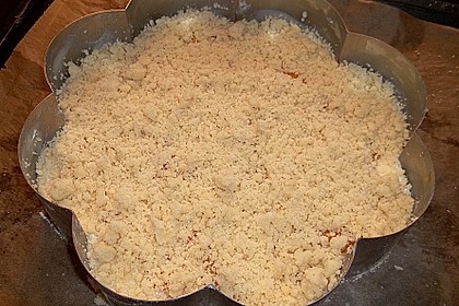 Tarte aux apricots 67