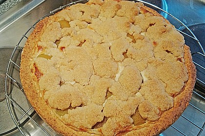 Tarte aux apricots 74