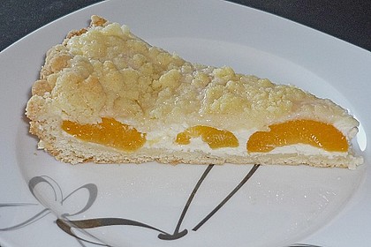 Tarte aux apricots 75