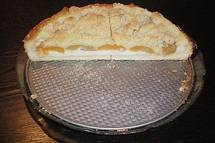 Tarte aux apricots 76