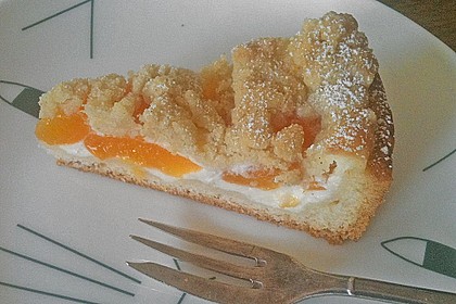 Tarte aux apricots 79