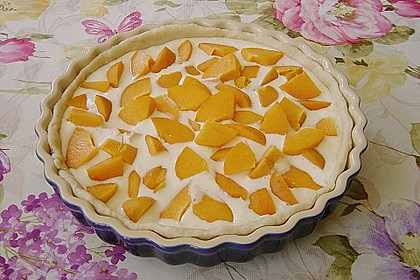Tarte aux apricots 83