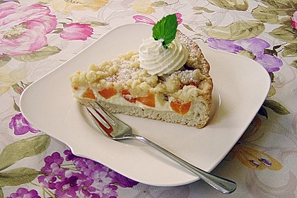 Tarte aux apricots 85