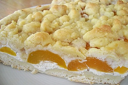 Tarte aux apricots 4