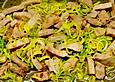 Kalbsgeschnetzeltes mit Garnelen