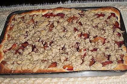 Zwetschgenkuchen mit Zimtstreuseln 3