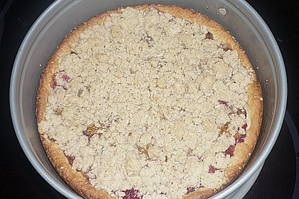 Zwetschgenkuchen mit Zimtstreuseln 6