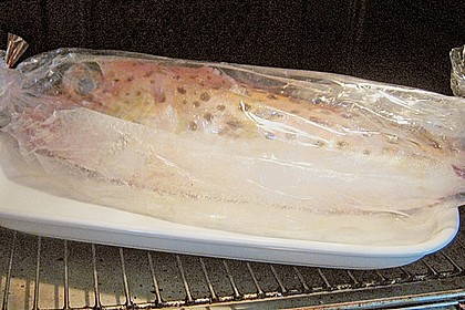 Neuseel&auml;ndischer Roter Knurrhahn in Senf - Sahne - Sauce 5
