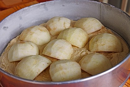 Apfel - R&uuml;hrkuchen 8