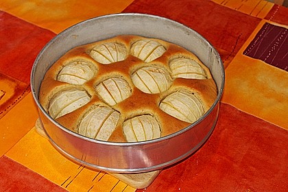 Apfel - R&uuml;hrkuchen 9