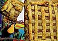 Galaktoboureko - Griechischer Grie&szlig;blechkuchen mit Filo-Teig