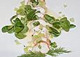Hummer - Carpaccio mit Zitronenthymian