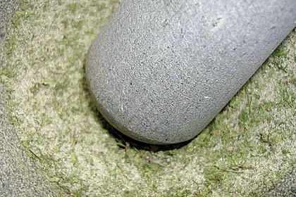 Getrocknete Minzetomaten in Öl 5